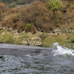 Zimbabwe Ferry Disaster Leaves 84 Dead and 77 Rescued